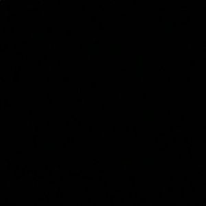 Meet your Posher, Niki